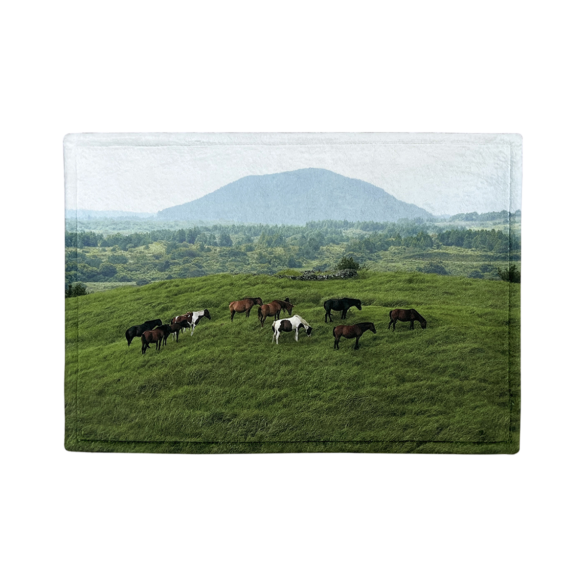 [B-grade] JEJU mountain horse mini rug